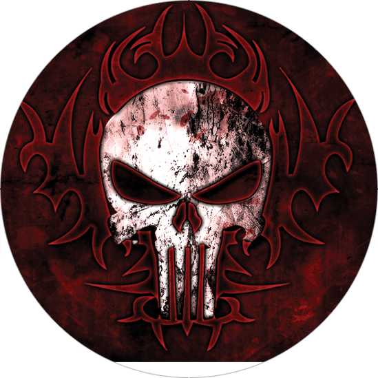 Punisher 009