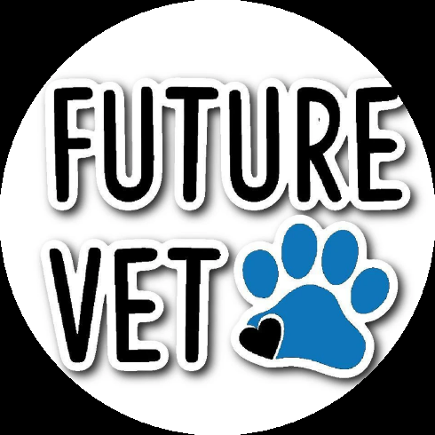 Badge 5df9f3fabc784