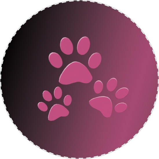 Pink Panther 010