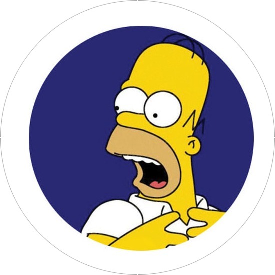 The Simpson 050